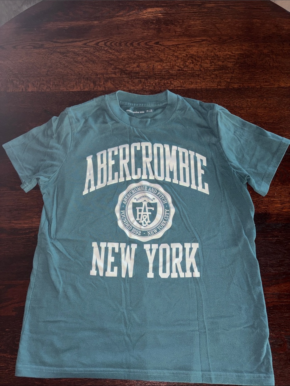 abercrombie kids teal logo tee